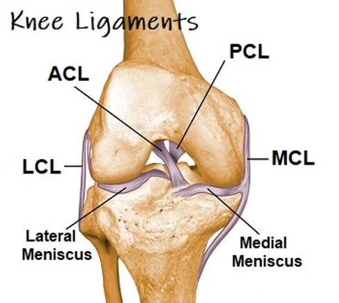 Ligament Injuries (ACL/PCL/Meniscus)